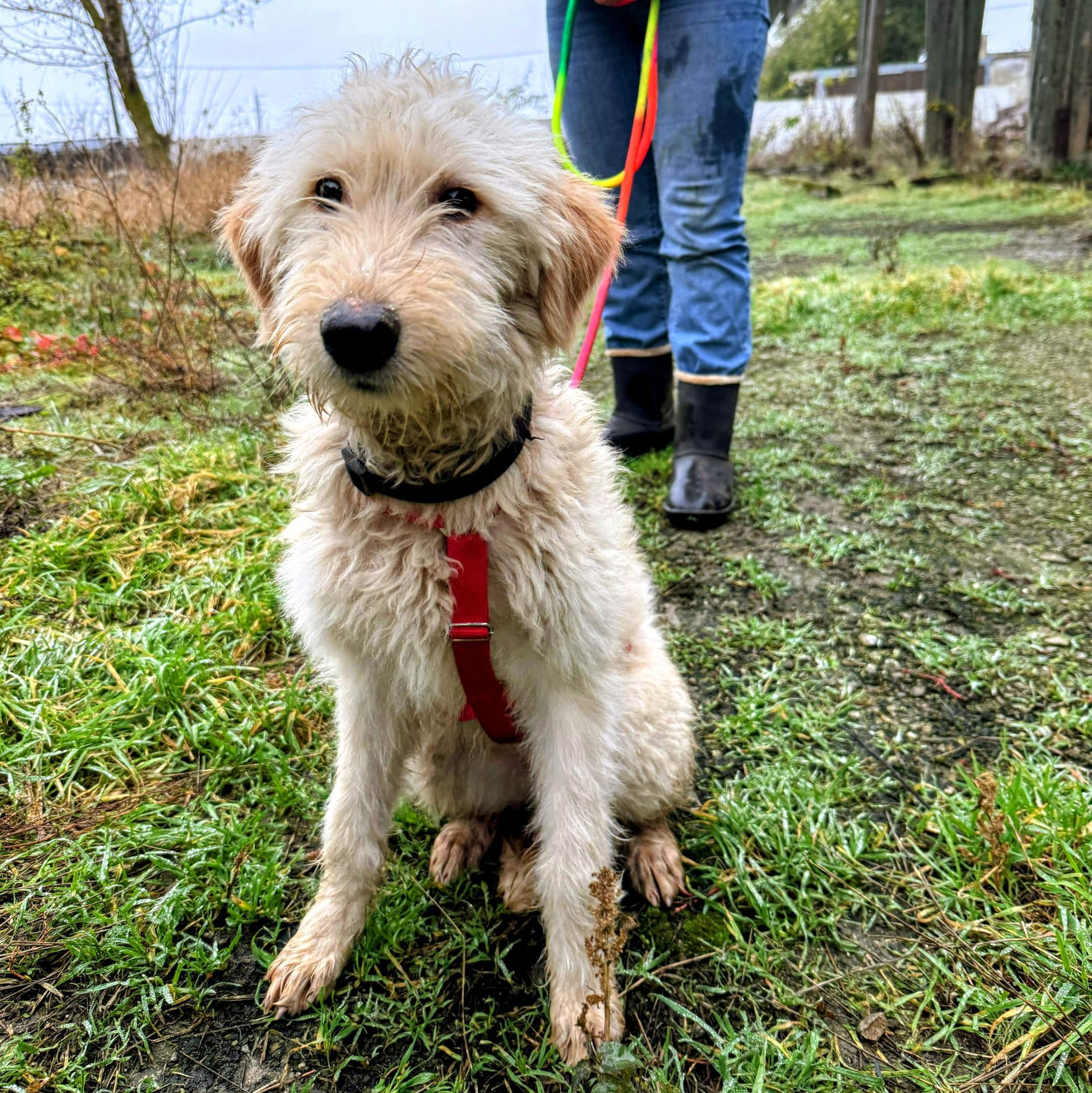 Contesa Chantal Foto 2