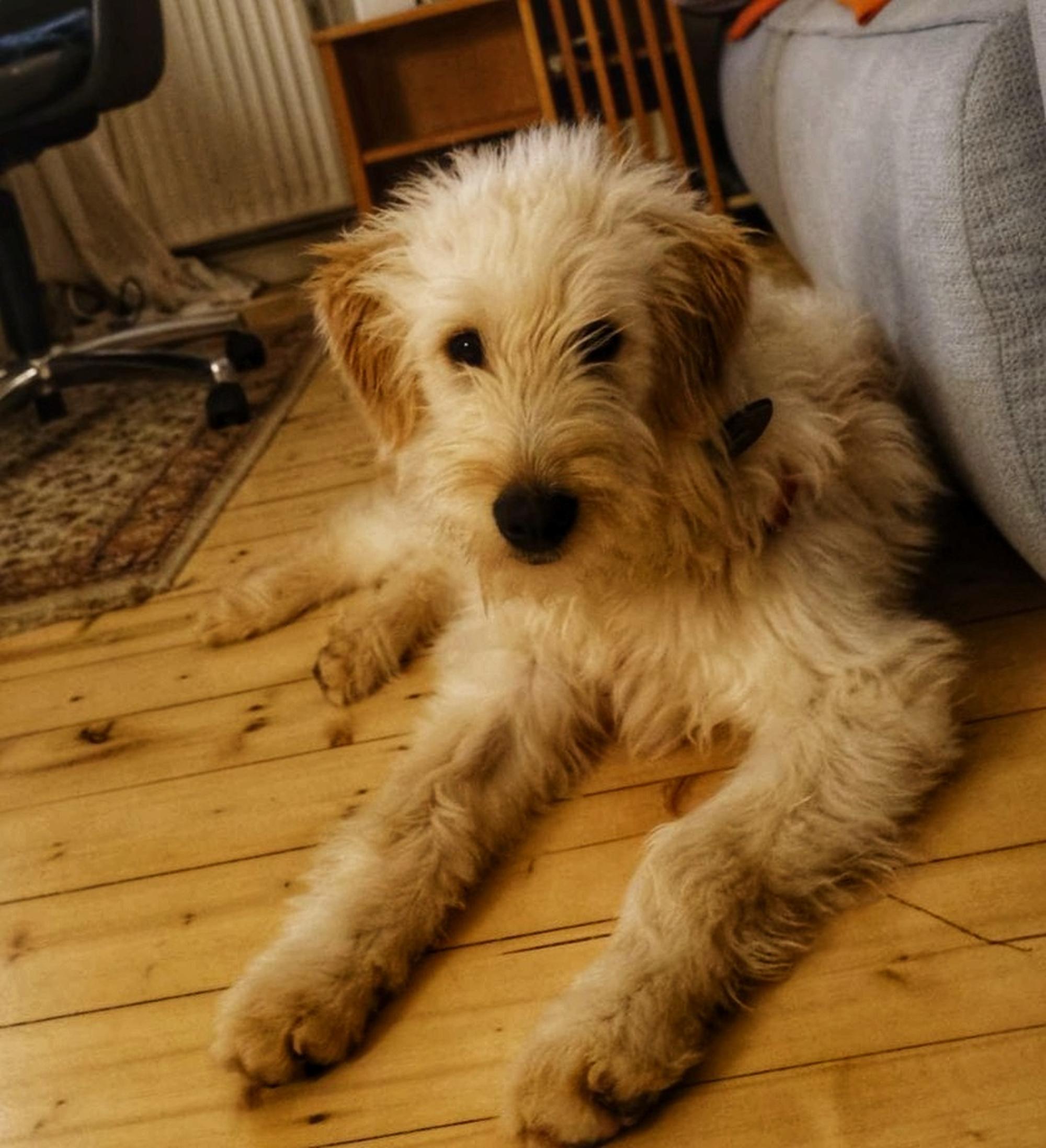 Contesa Chantal Foto 12