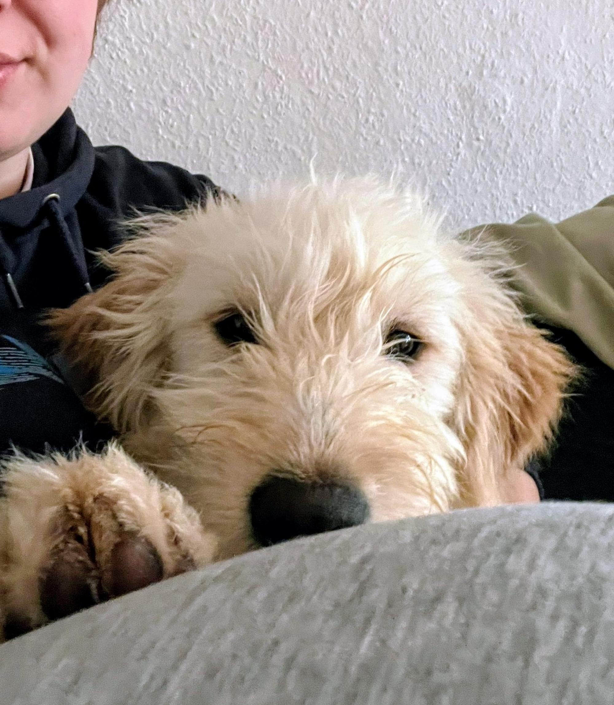 Contesa Chantal Foto 7