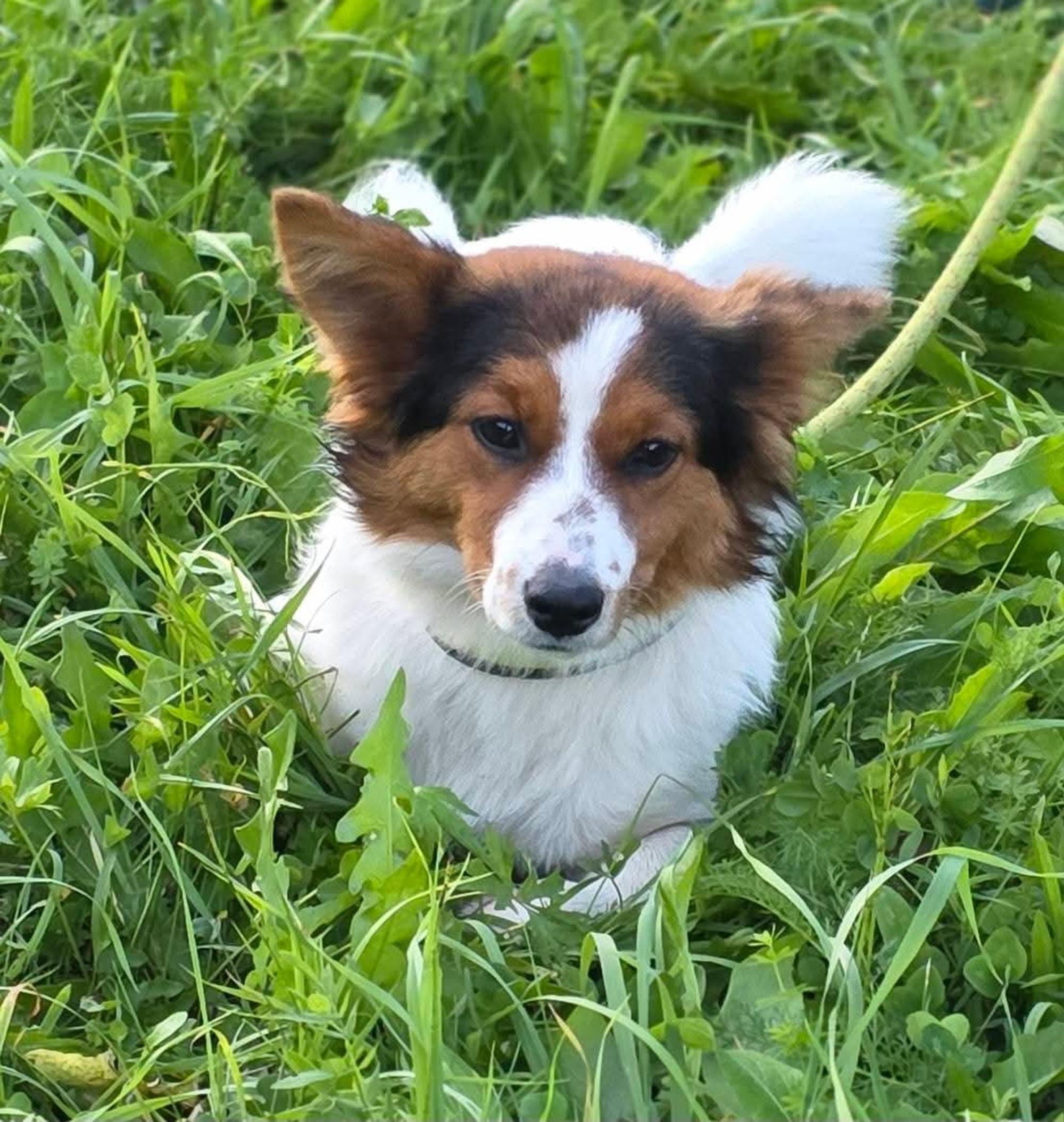 Ruby