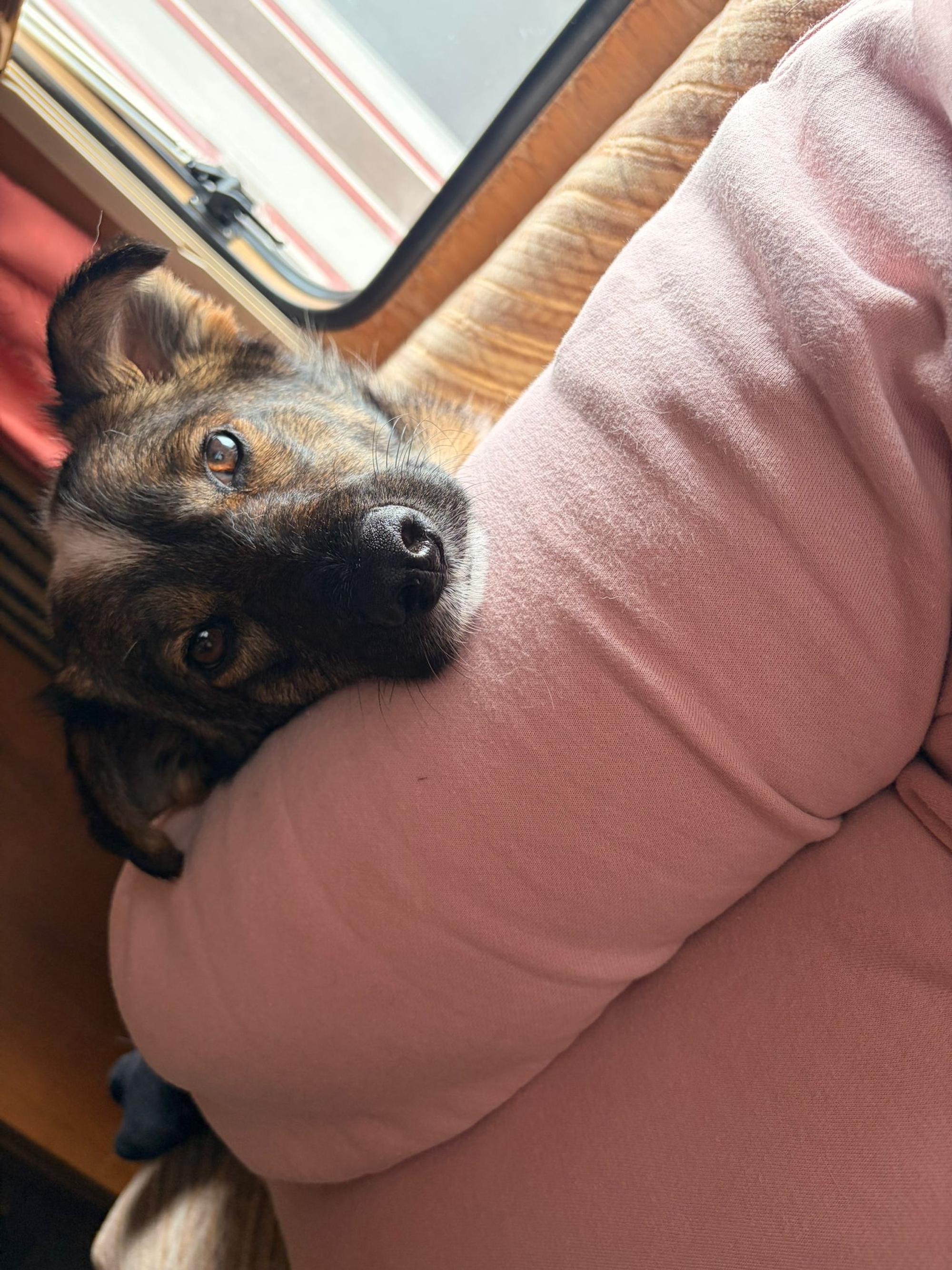 Peggy Foto 5