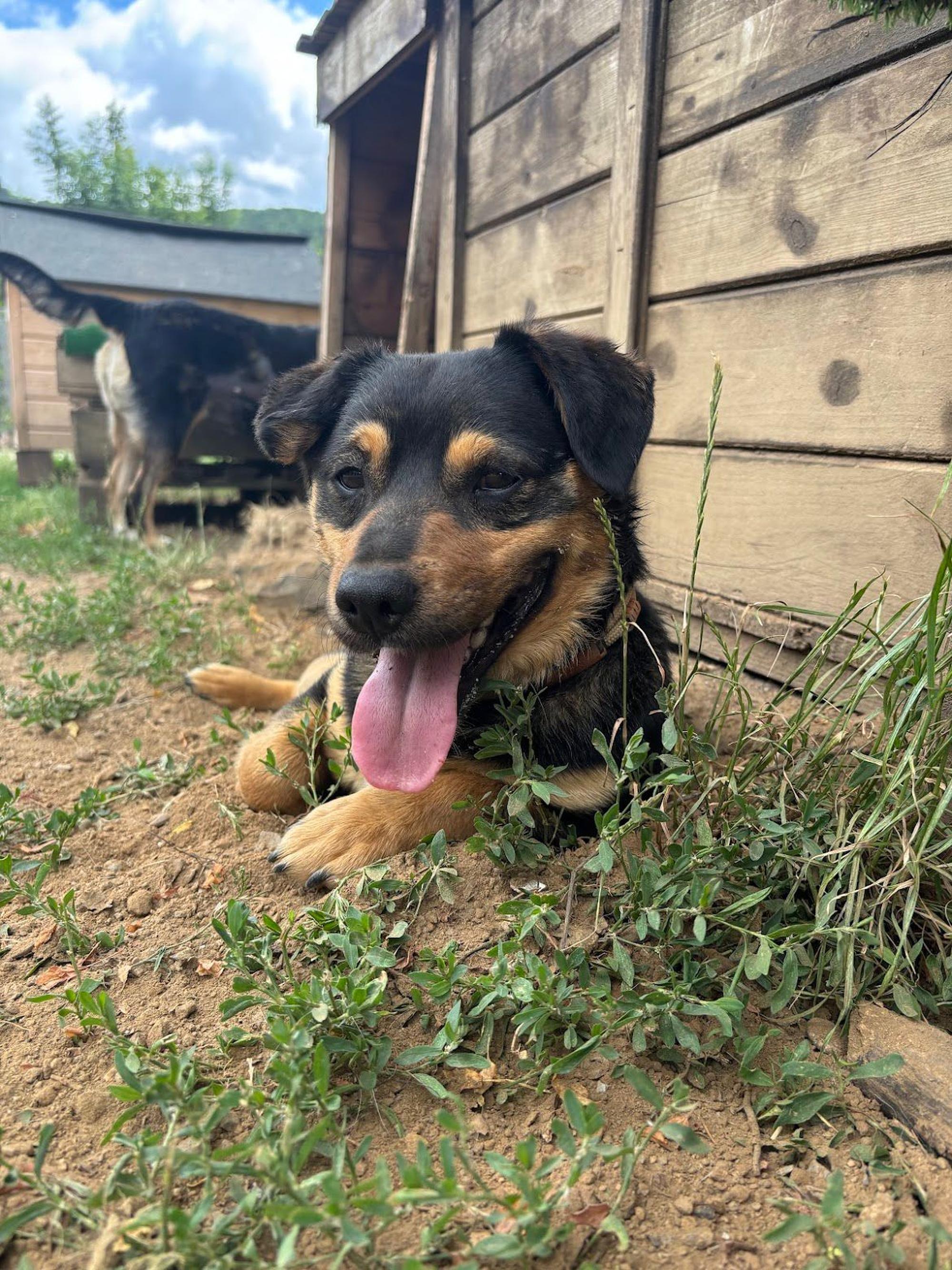 Teo