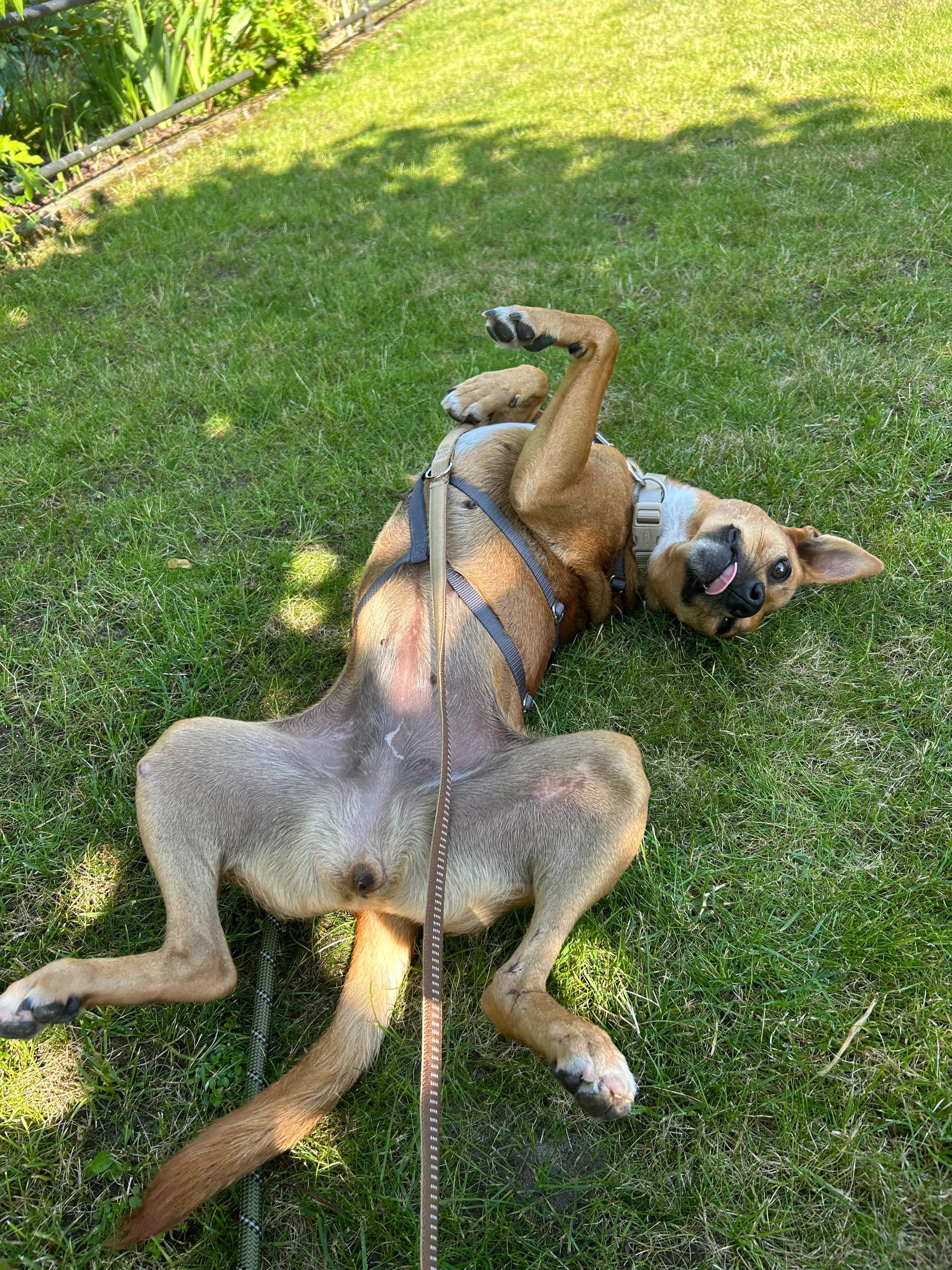 Paessa Foto 8