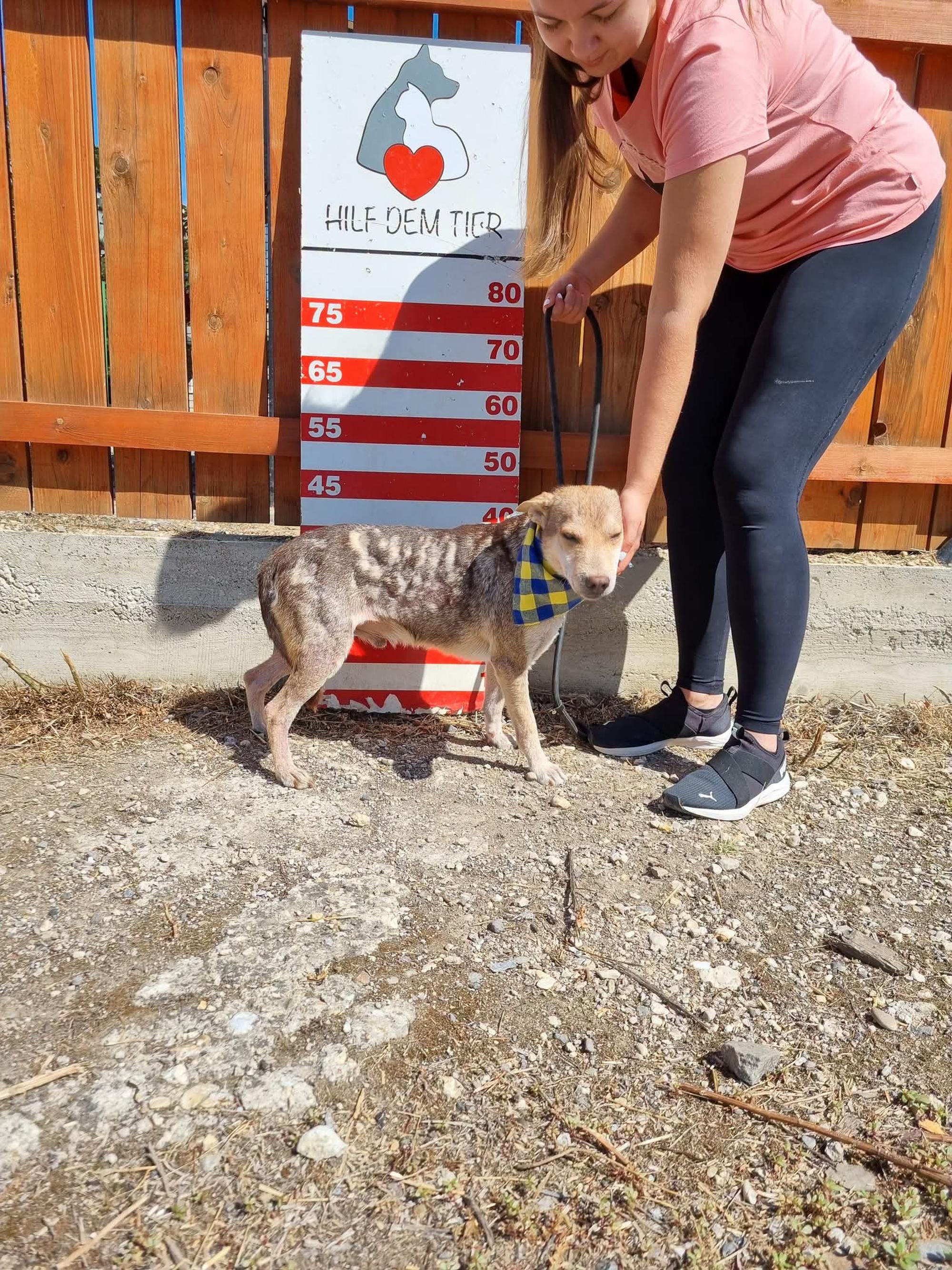Olymp Foto 5