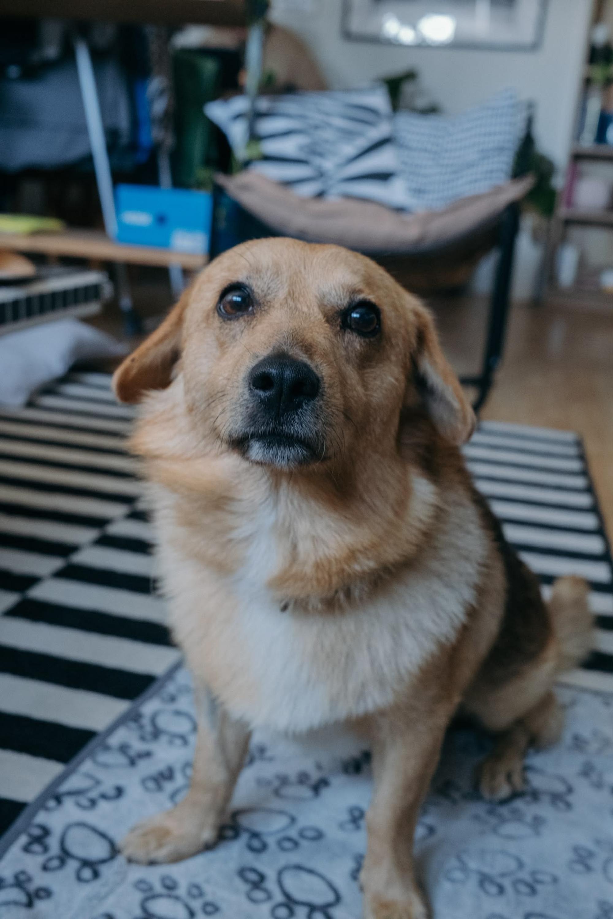 Maxi Foto 1