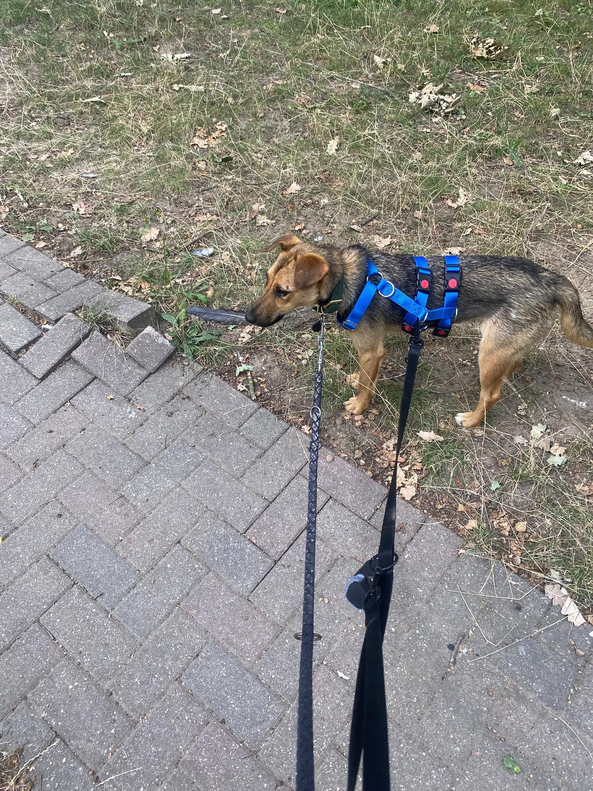 Skye Foto 17