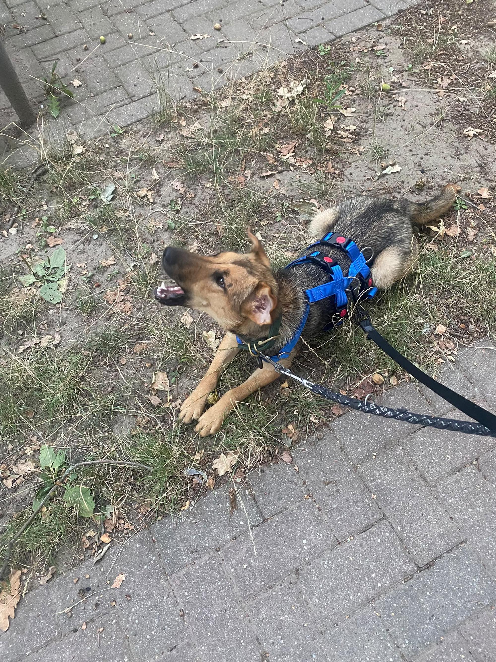 Skye Foto 15