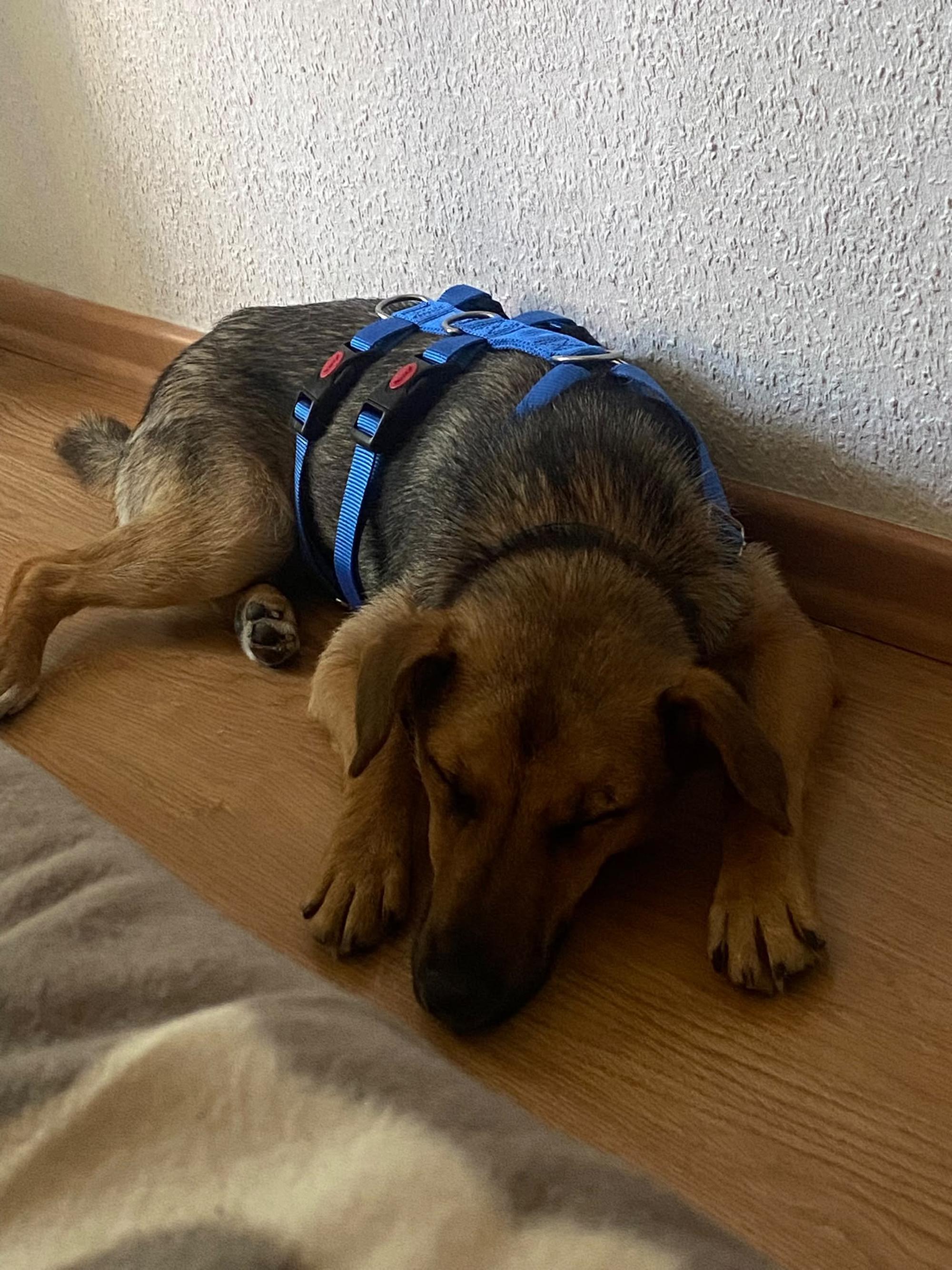 Skye Foto 14
