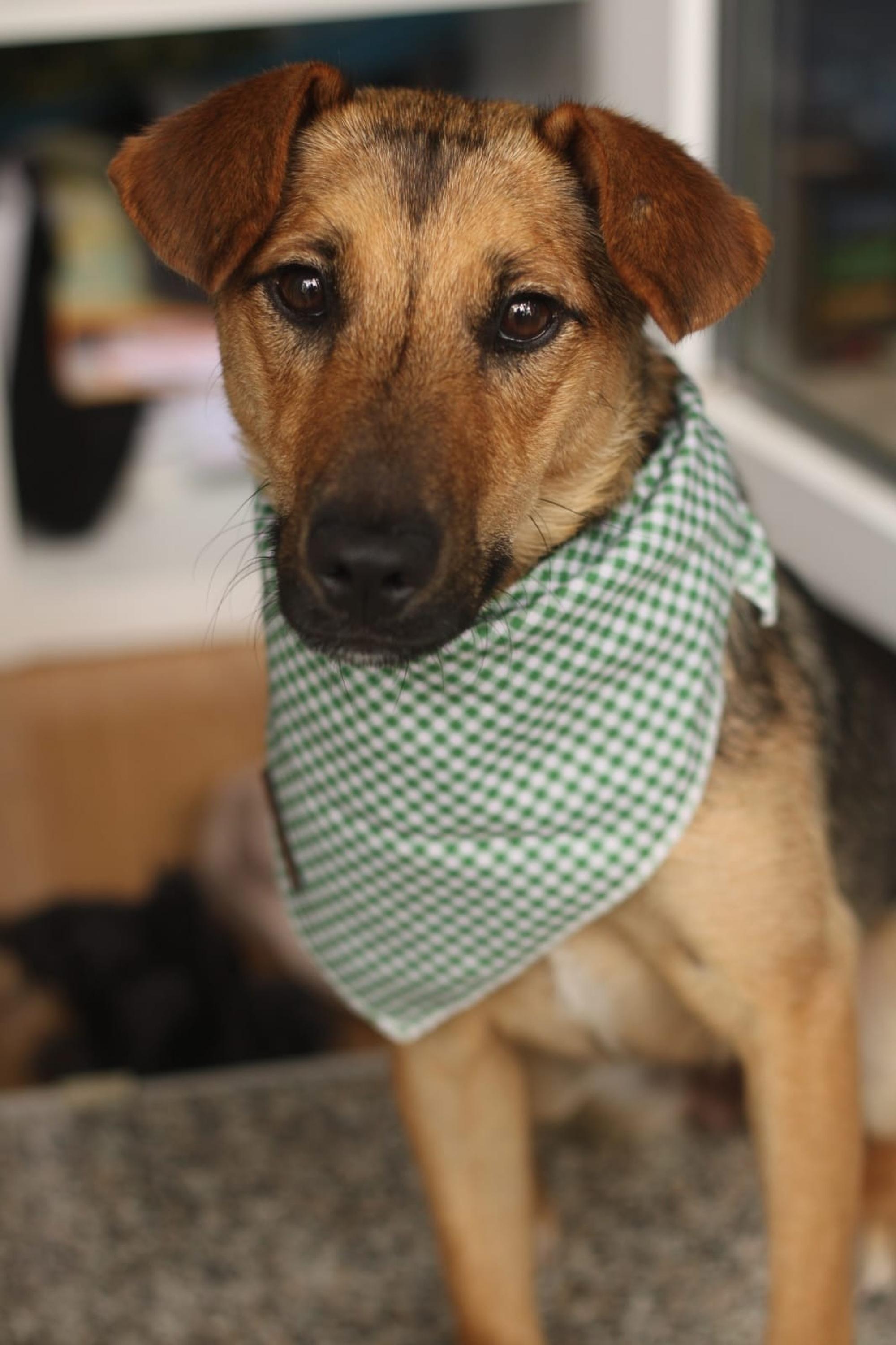 Skye