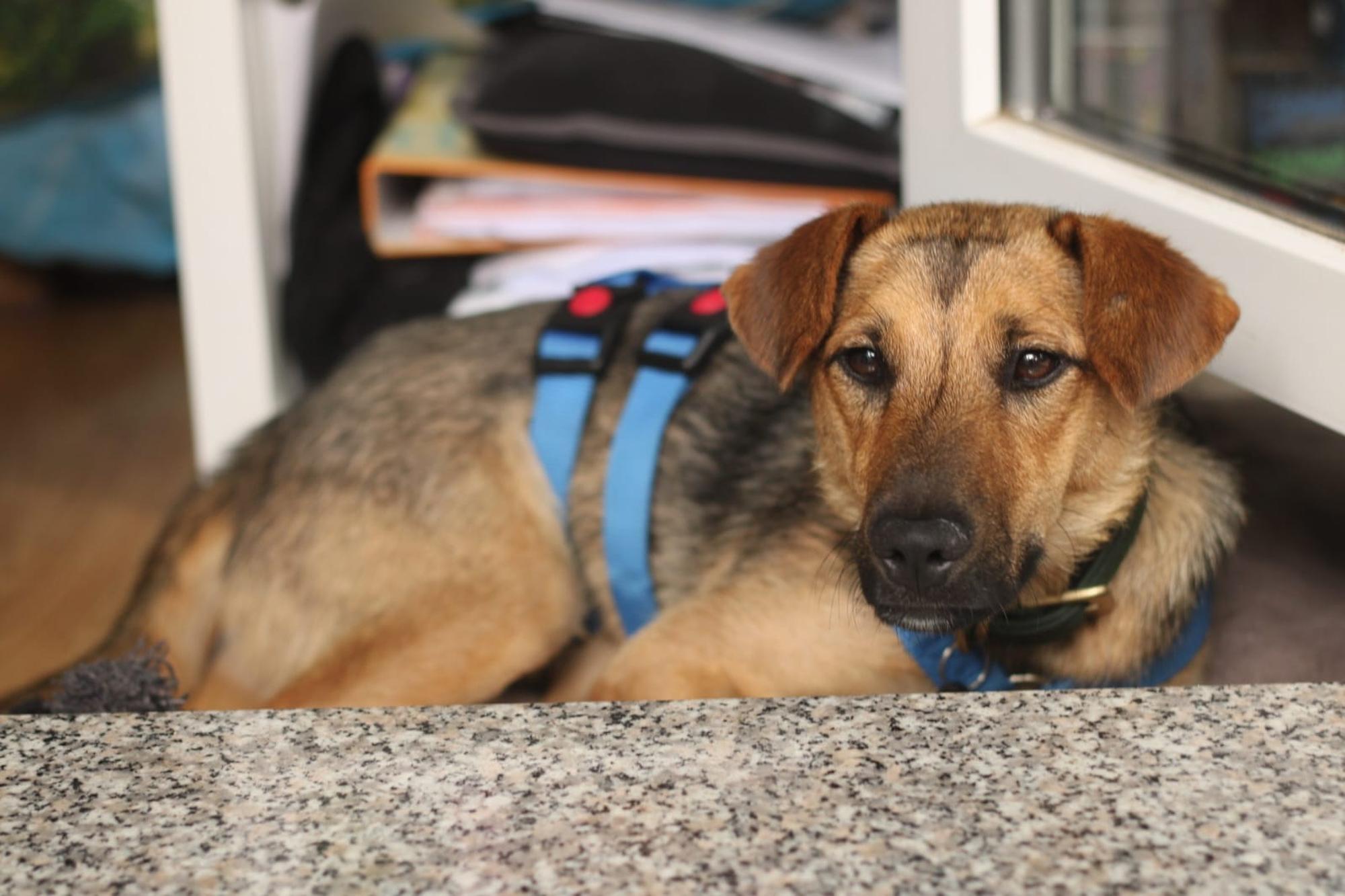 Skye Foto 3