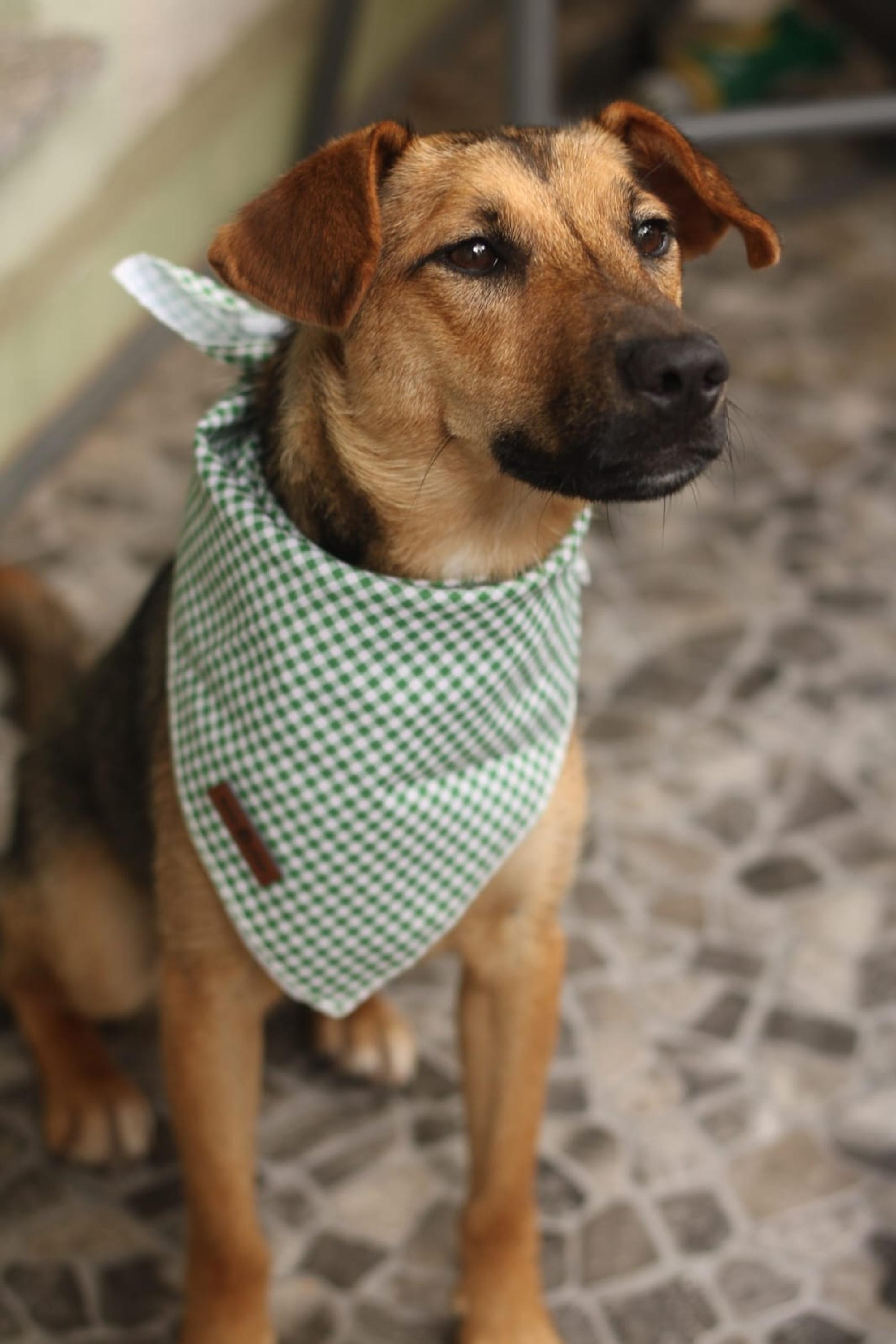 Skye Foto 1