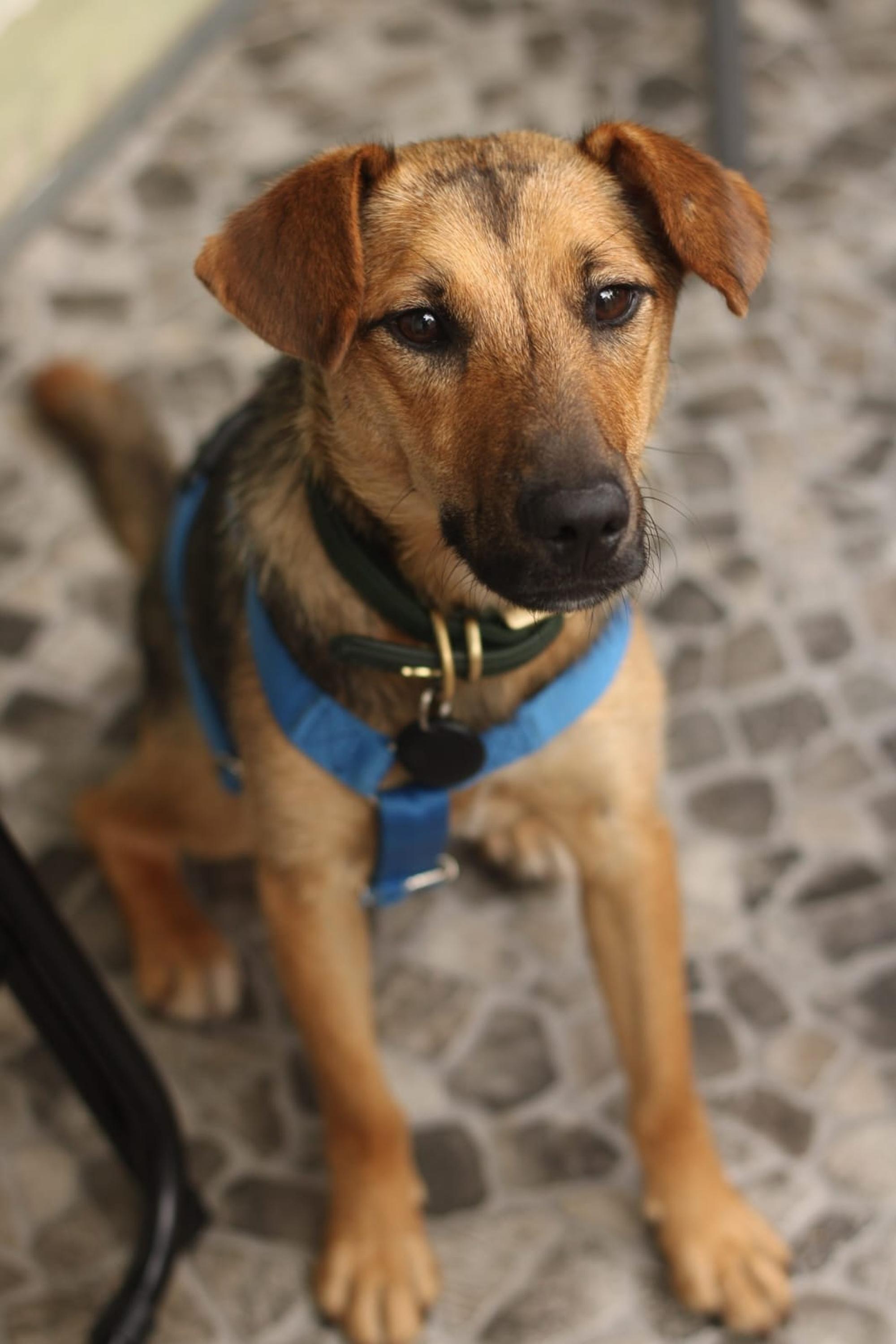 Skye Foto 2