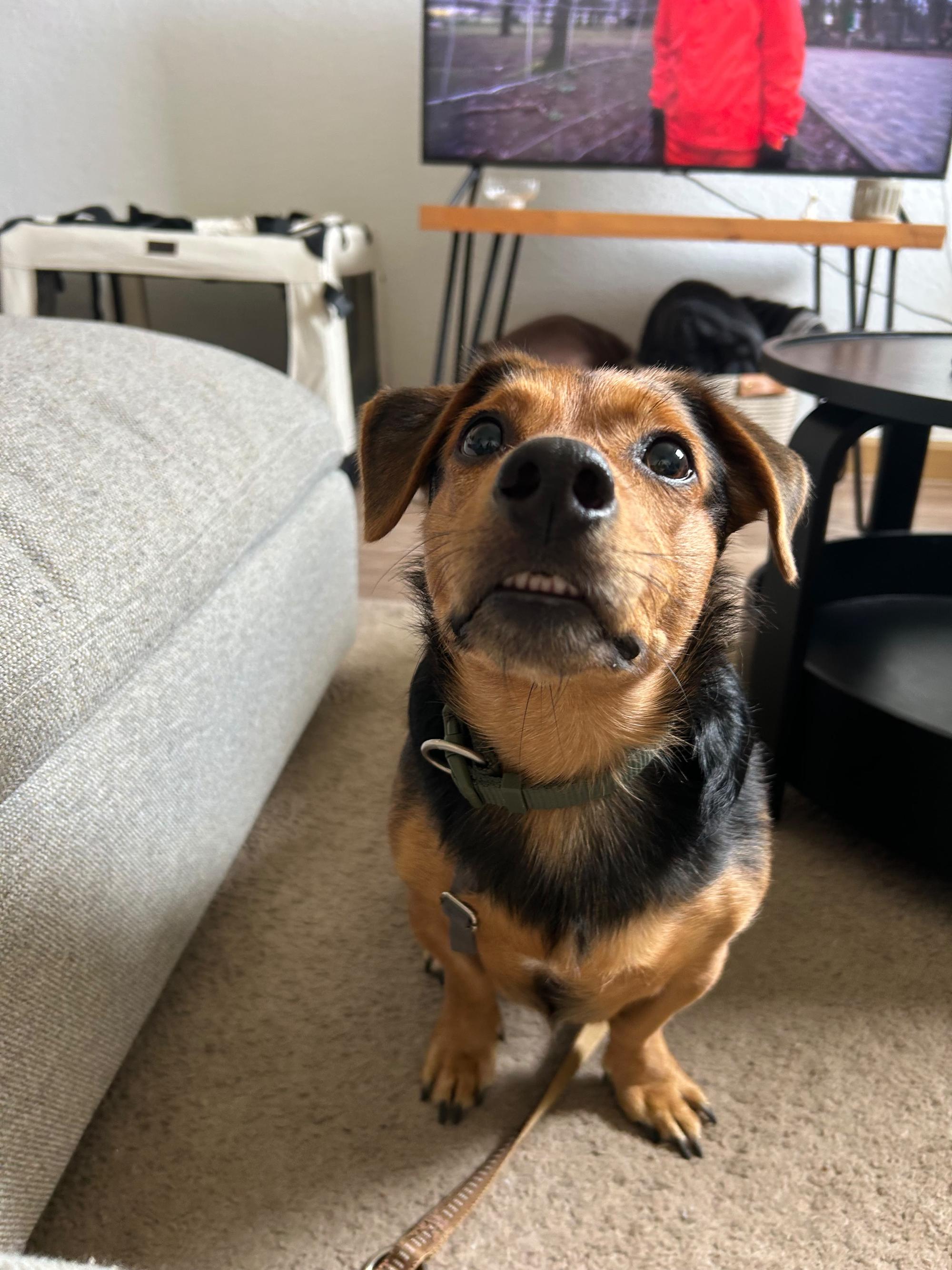 Aiko Foto 1