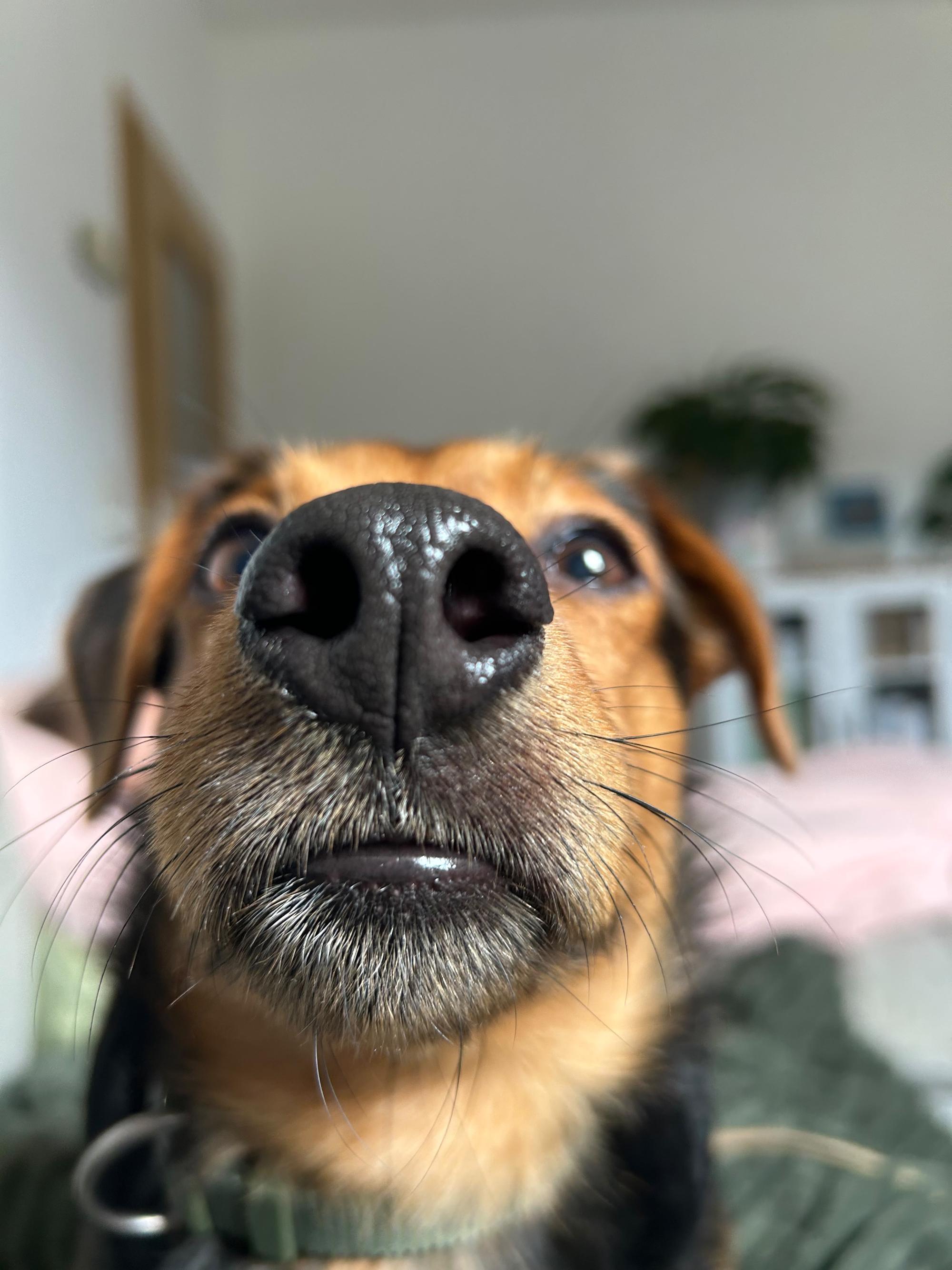 Aiko Foto 2