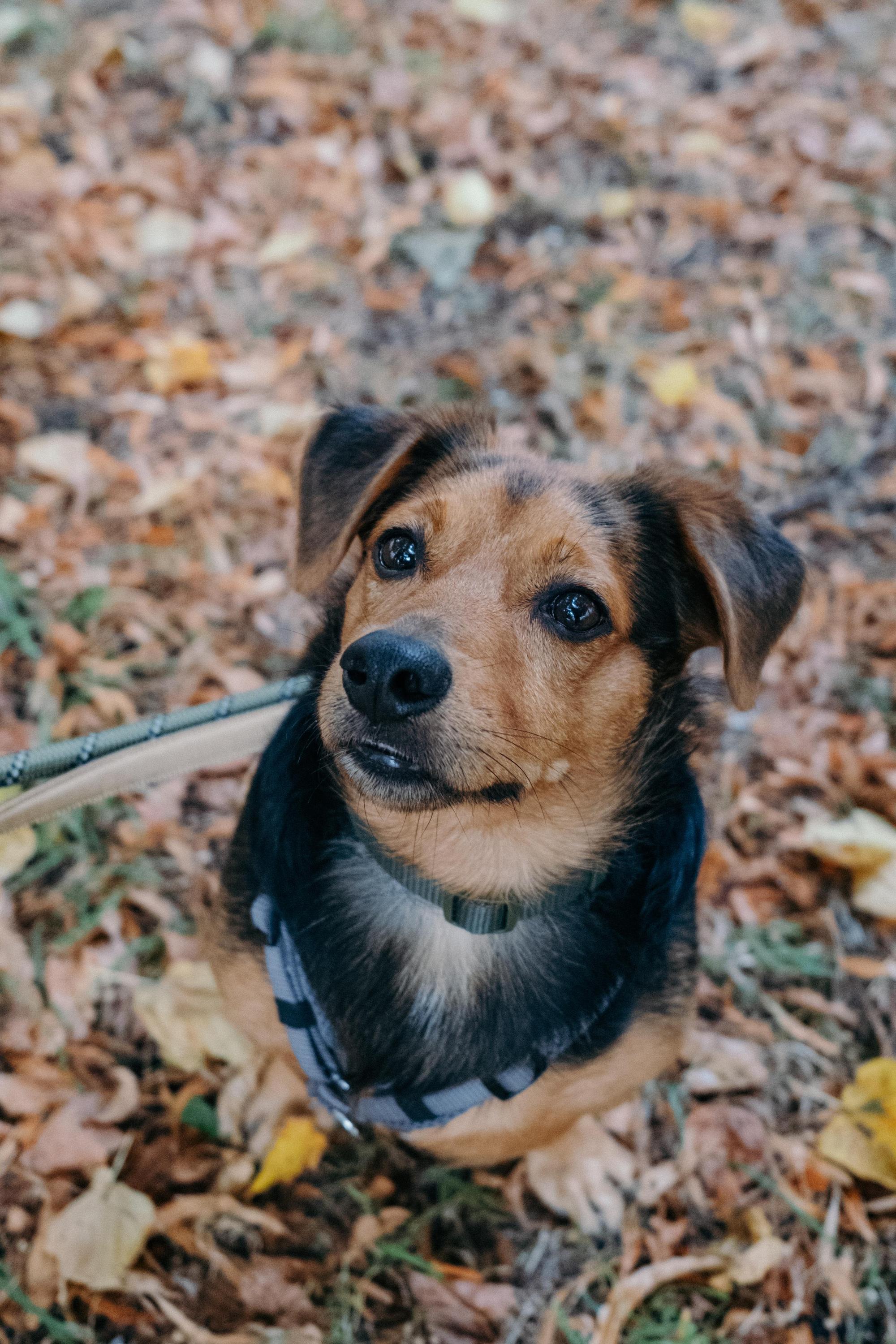 Aiko Foto 10