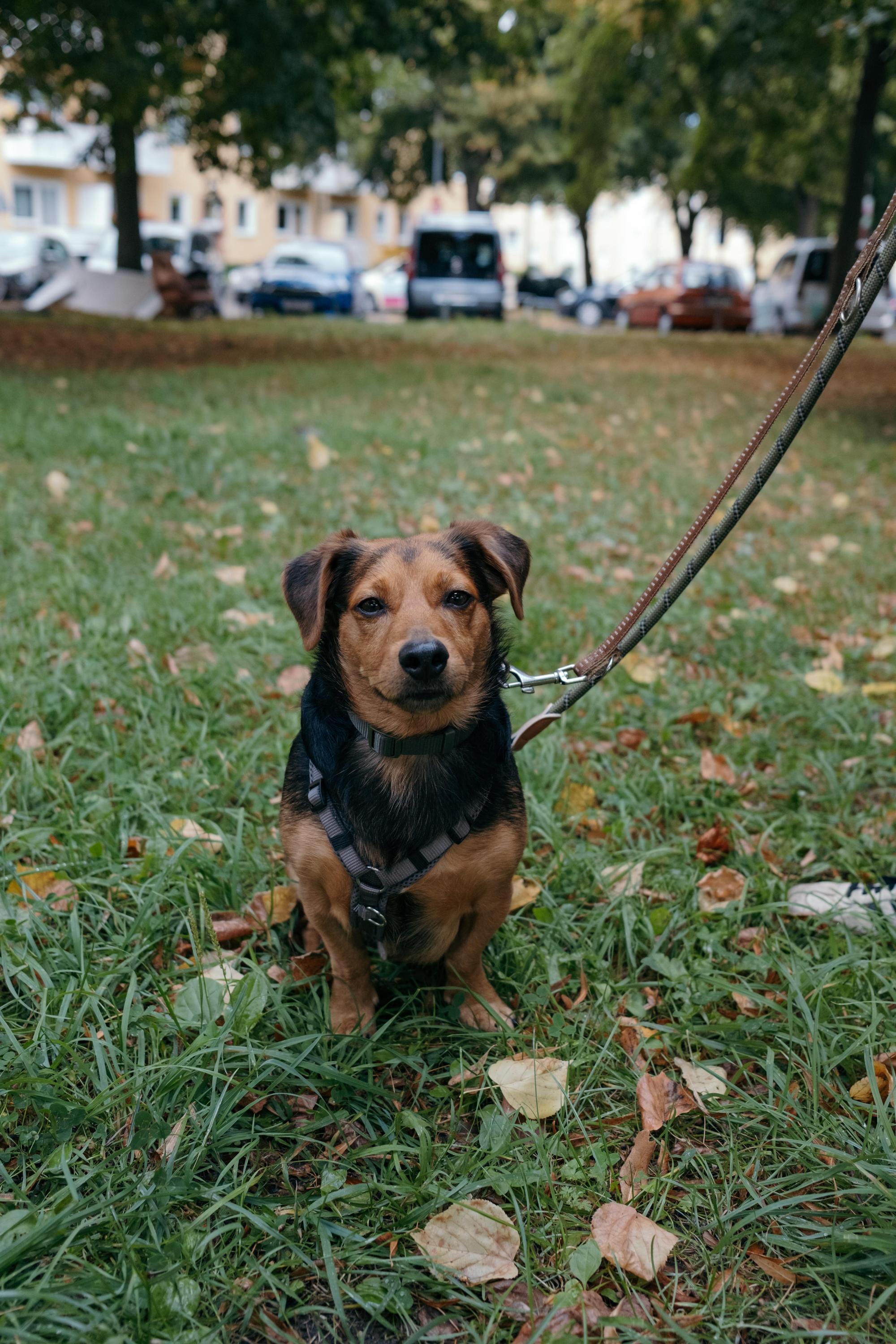 Aiko Foto 9