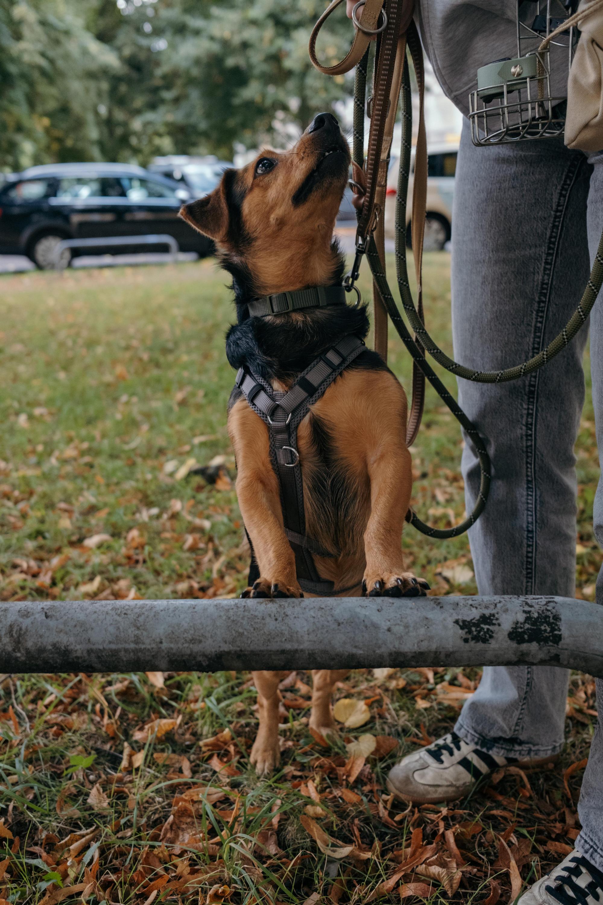 Aiko Foto 7