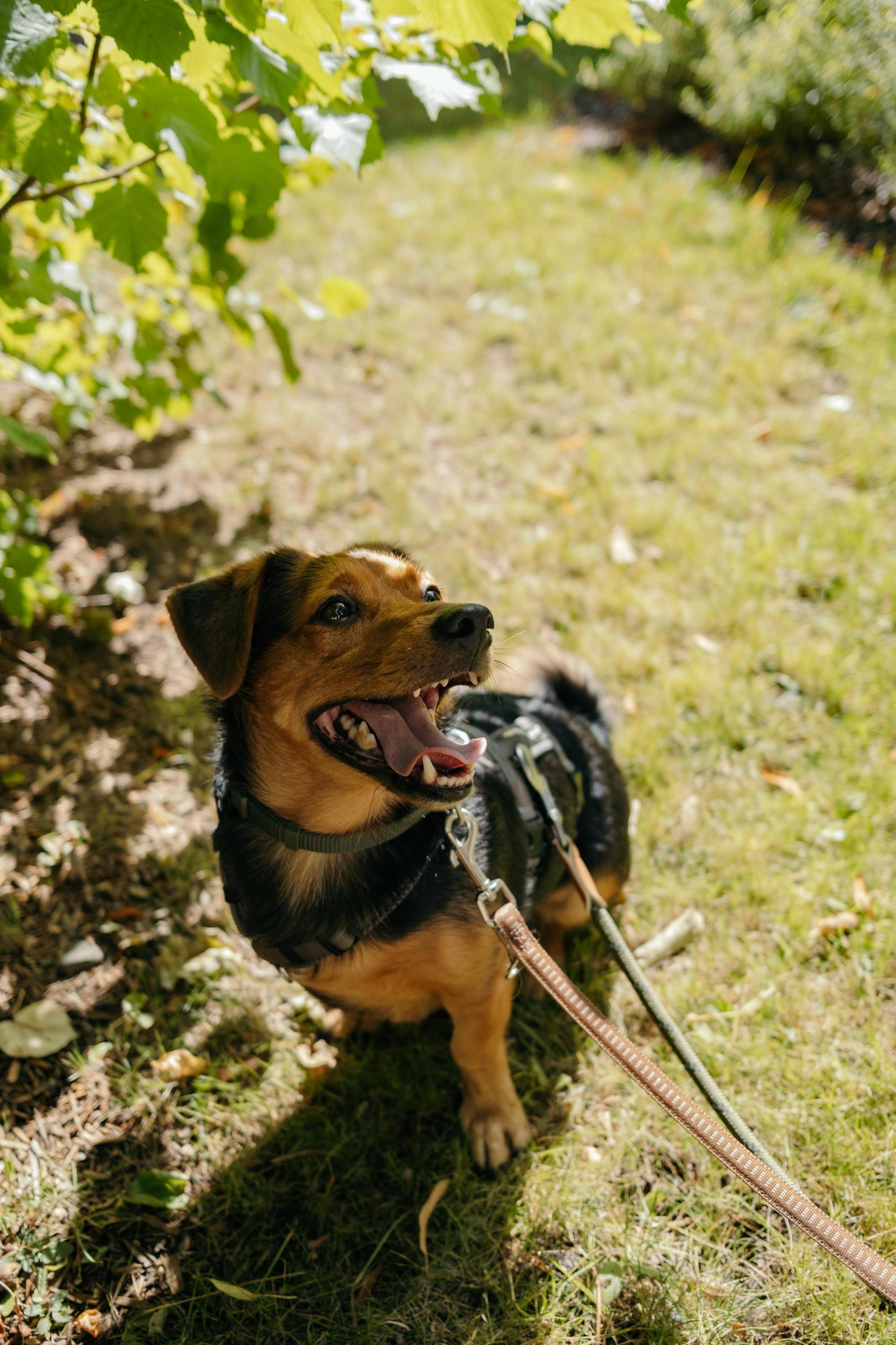 Aiko Foto 5