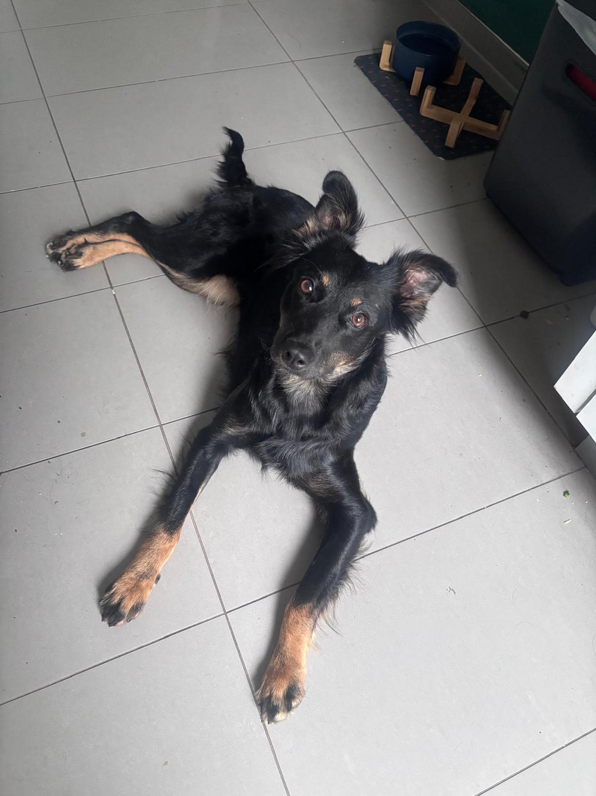 Xenia Foto 6