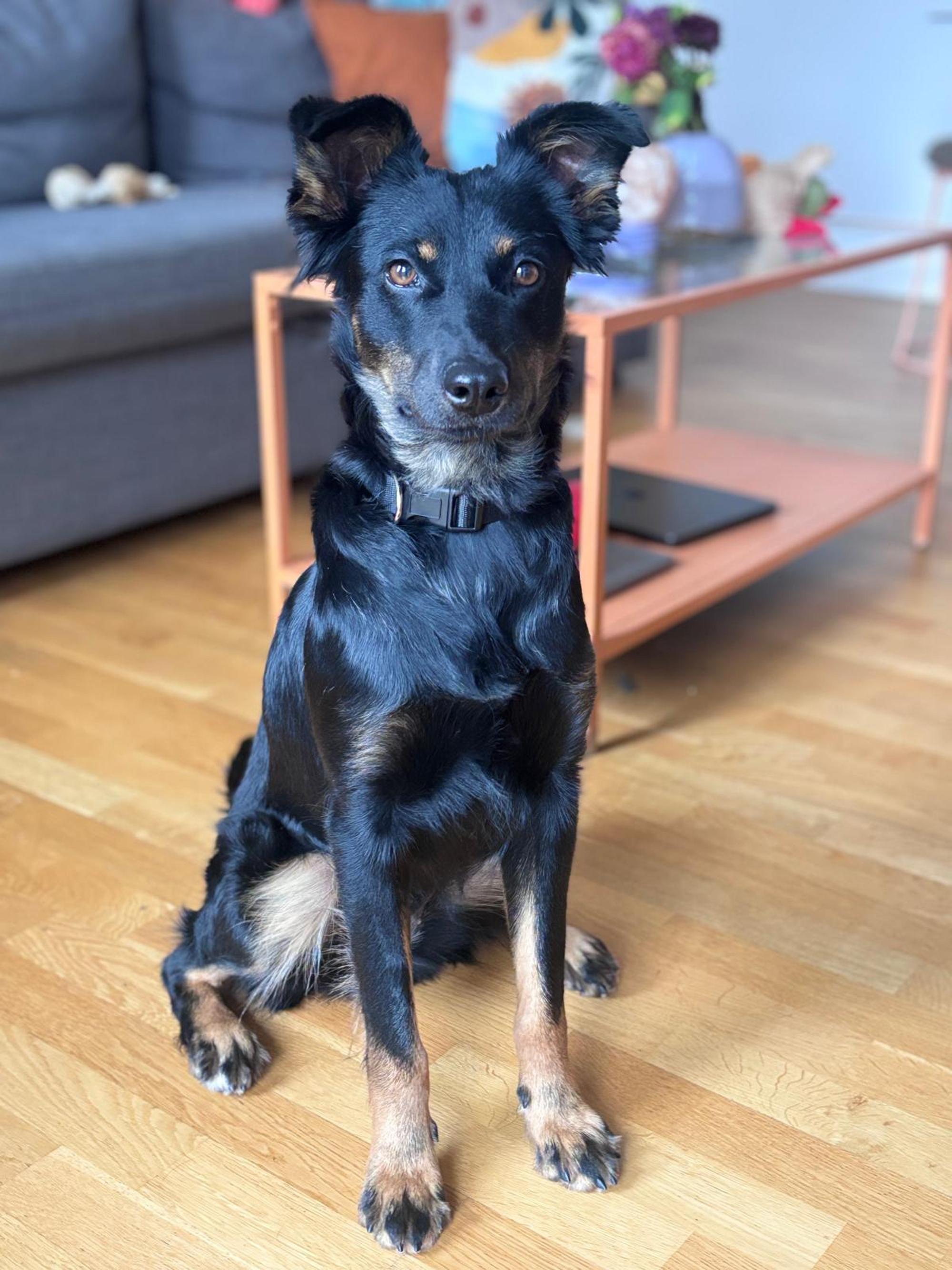 Xenia Foto 4