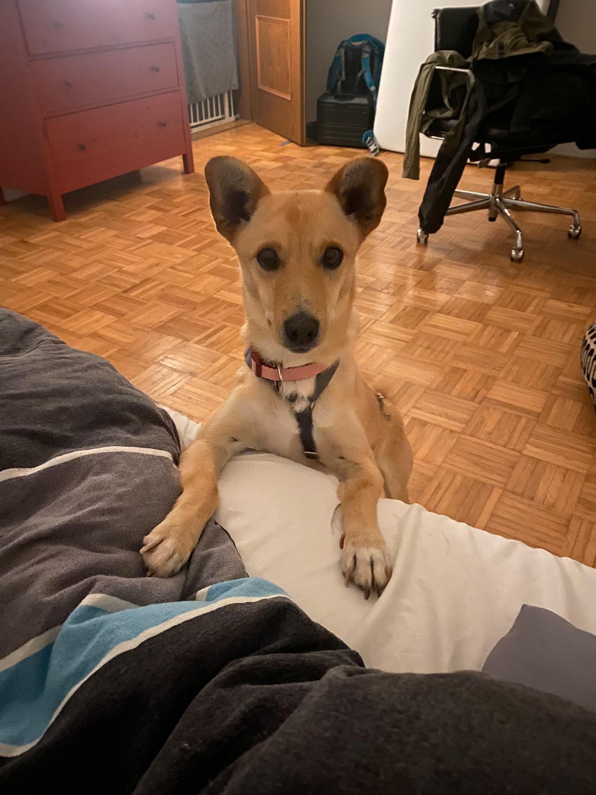 Oliver Foto 2