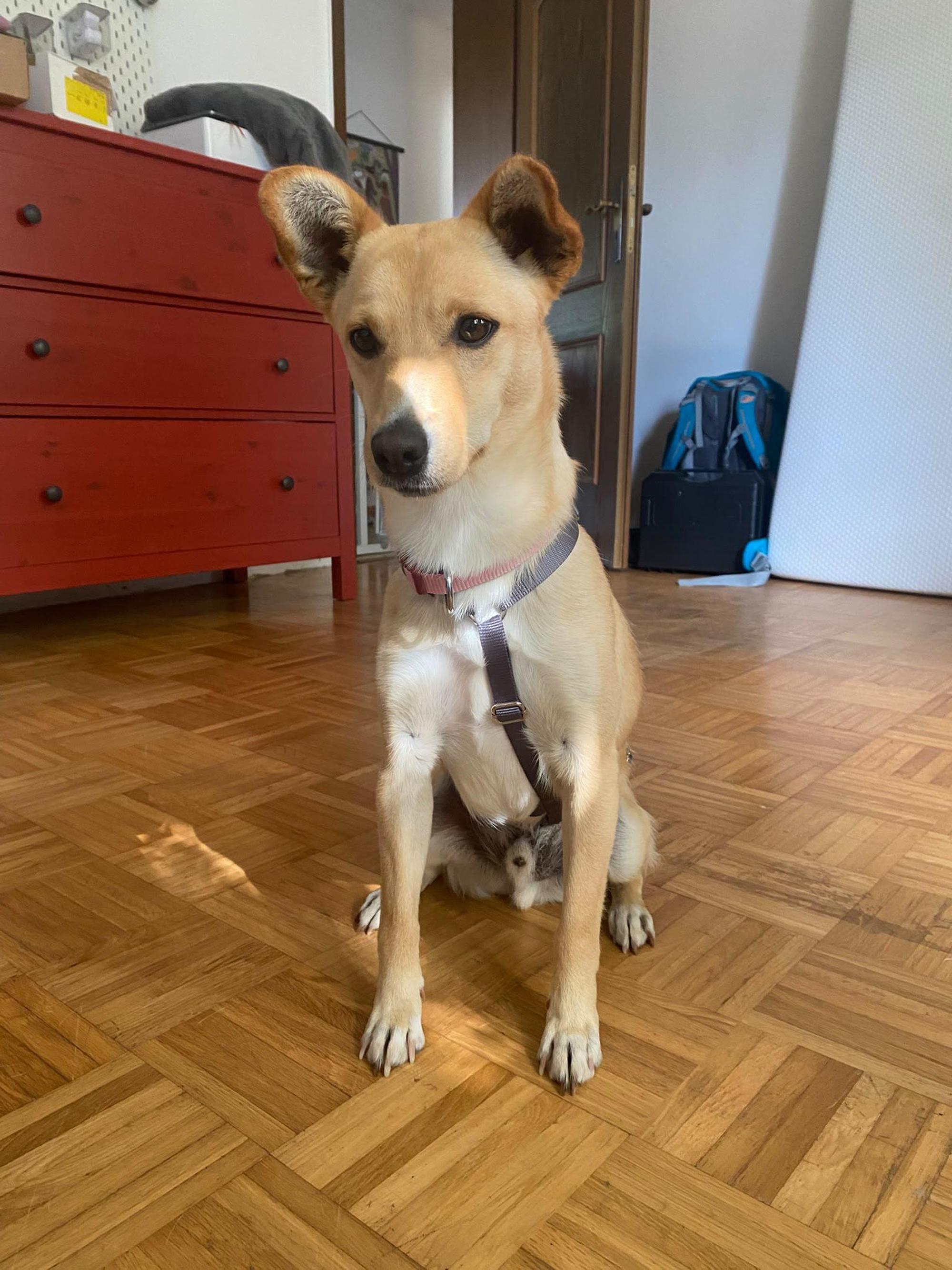 Oliver Foto 1