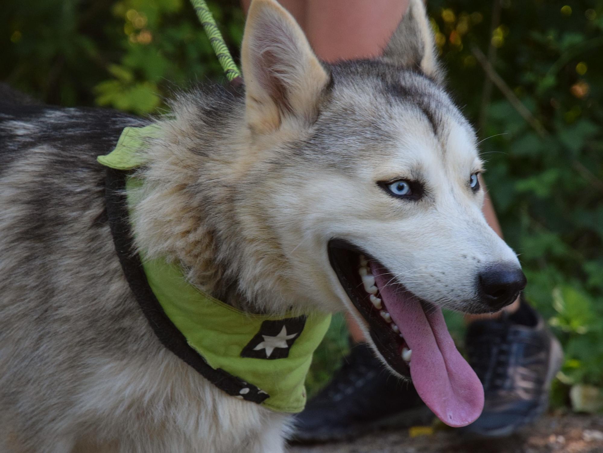 Oskar