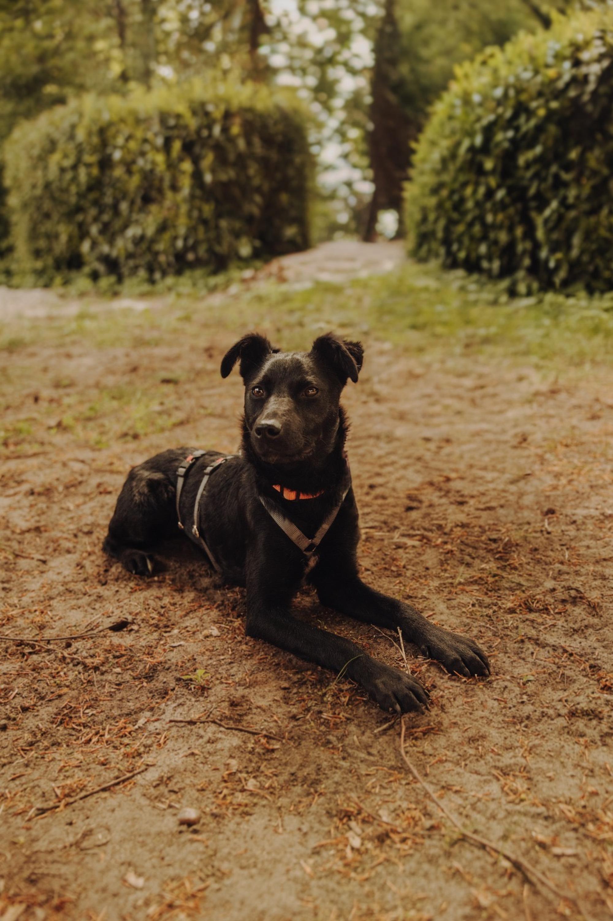 Livia Foto 11