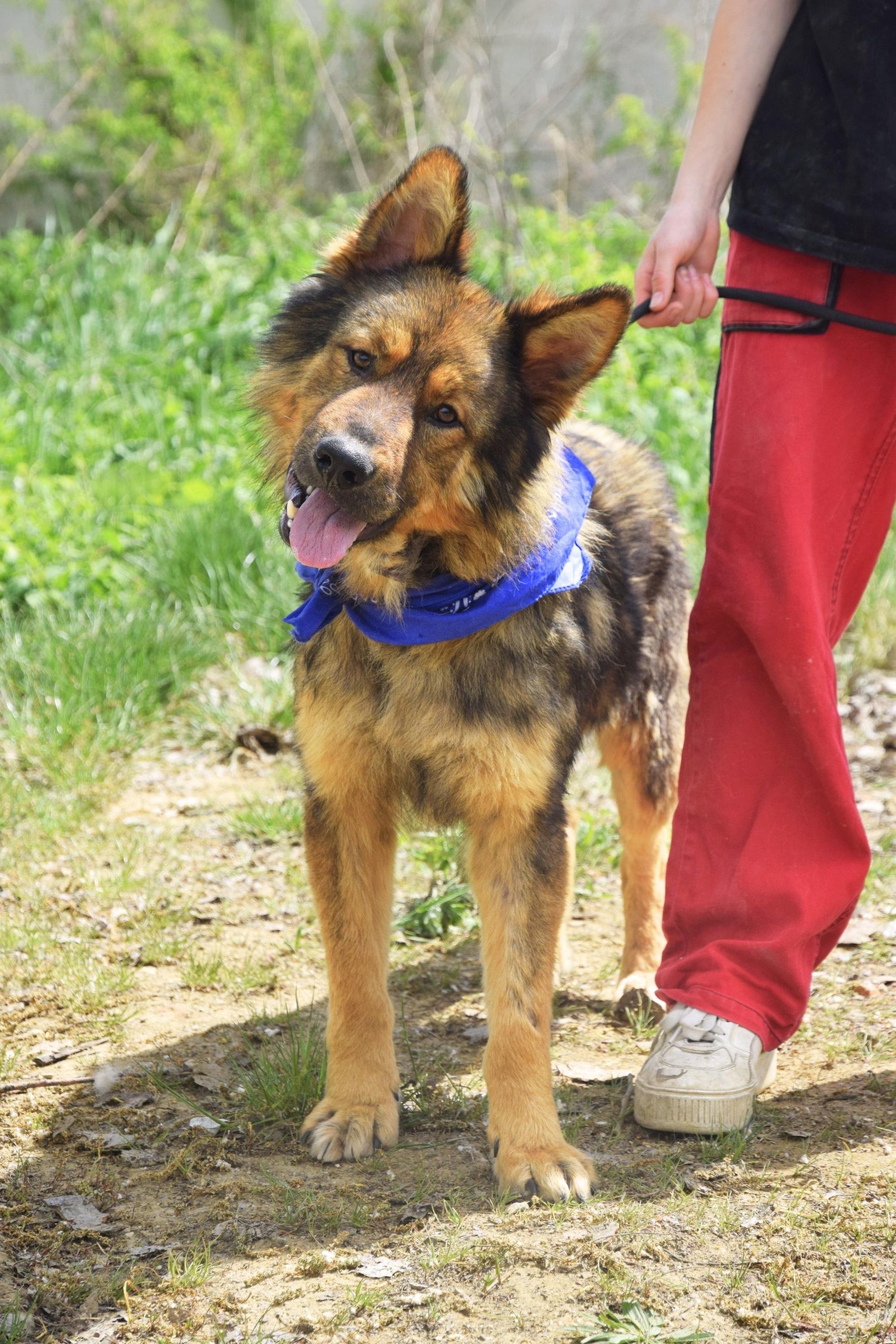Omar Foto 3