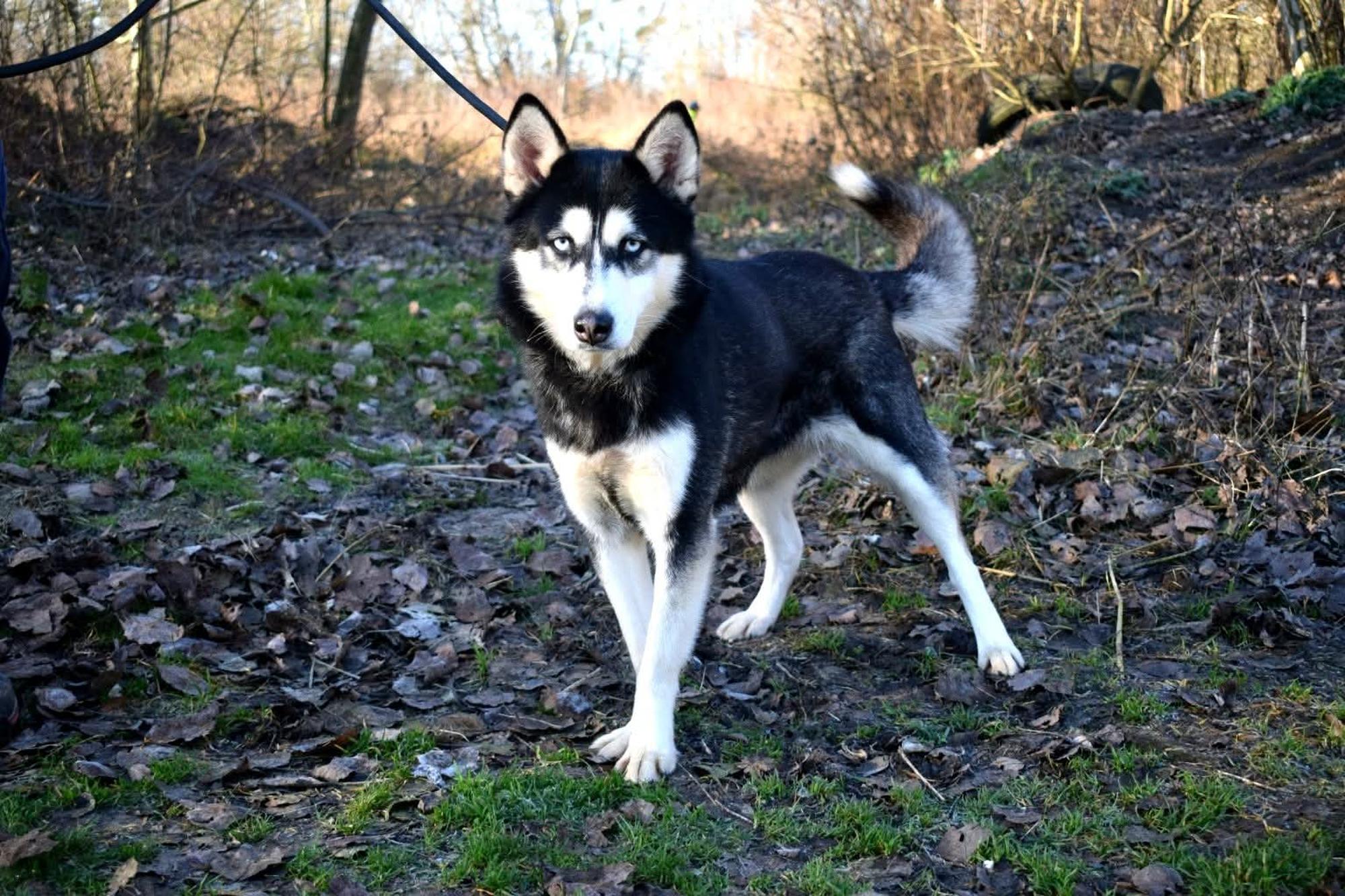 Bonnie die Zweite Foto 3